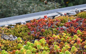 the cost of Weelsby green roof installation