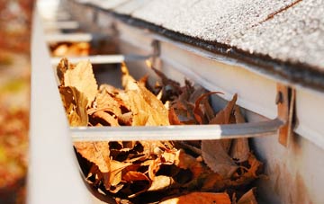Weelsby gutter cleaning companies