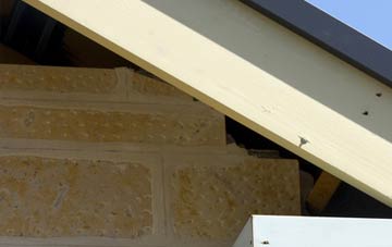 soffit repair Weelsby